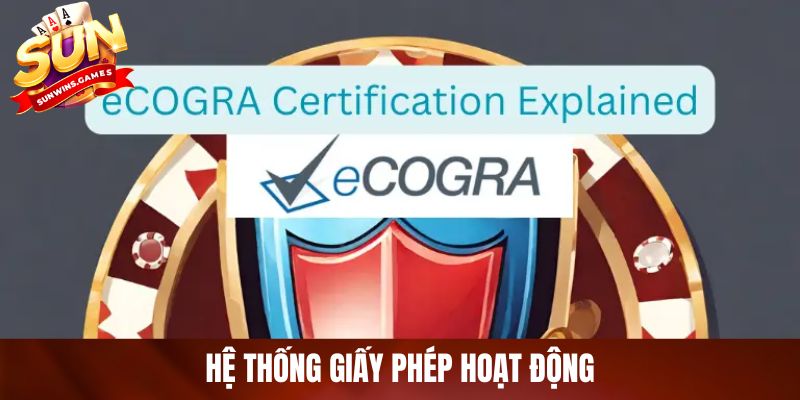 Hệ thống giấy phép hoạt động